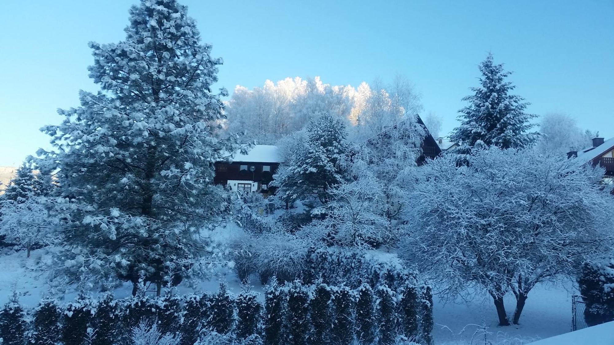 Apartmán Bialy Domek Visla Exteriér fotografie