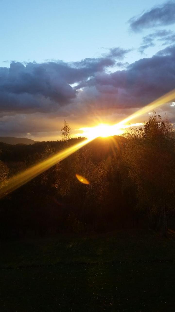 Apartmán Bialy Domek Visla Exteriér fotografie