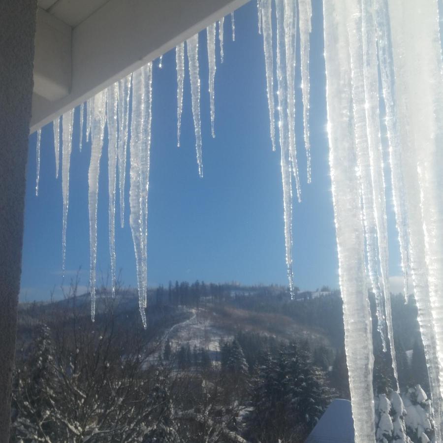 Apartmán Bialy Domek Visla Exteriér fotografie